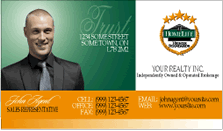 Homelife Business Cards