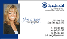 Prudential Realty Business Cards